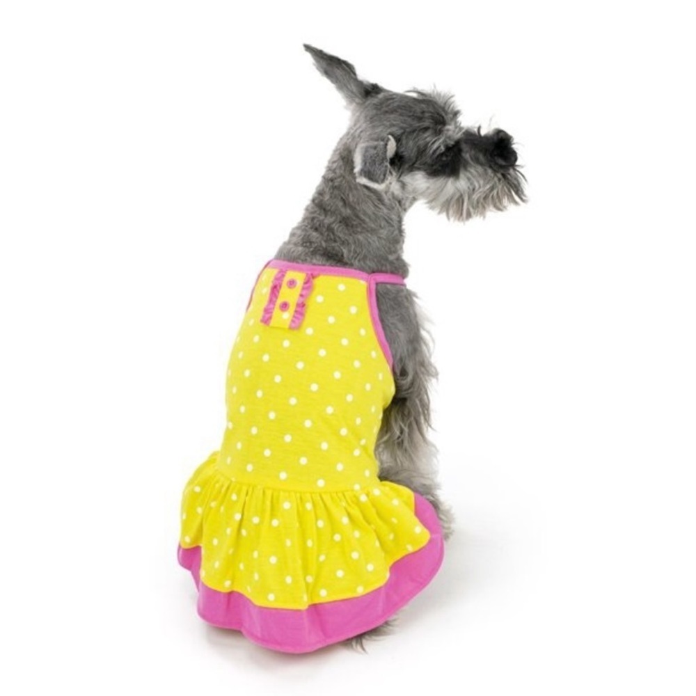 Vibrant Life Polka-Dotted Dog Dress